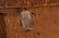 Mary E. Monks, Trompe l'oeil O/C, Unframed - 8