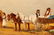 2 Jan Wolski, Hungarian Traders Scenes, Oil Board - 4