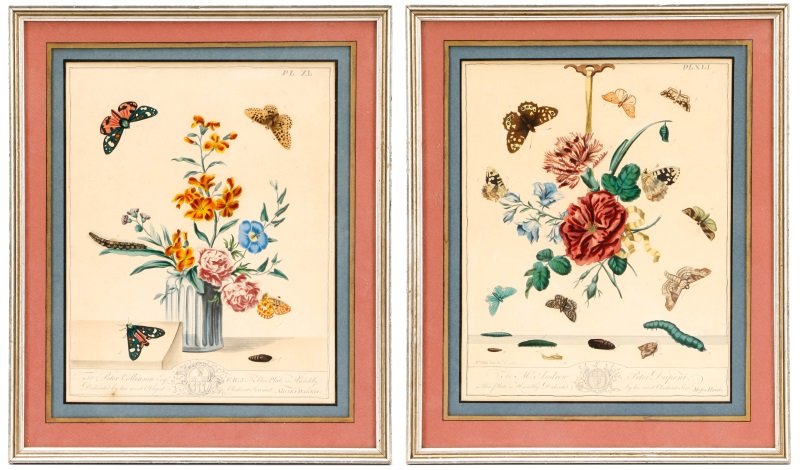 Group of 2 Framed Moses Harris Etchings, 1750 (1 of 10)