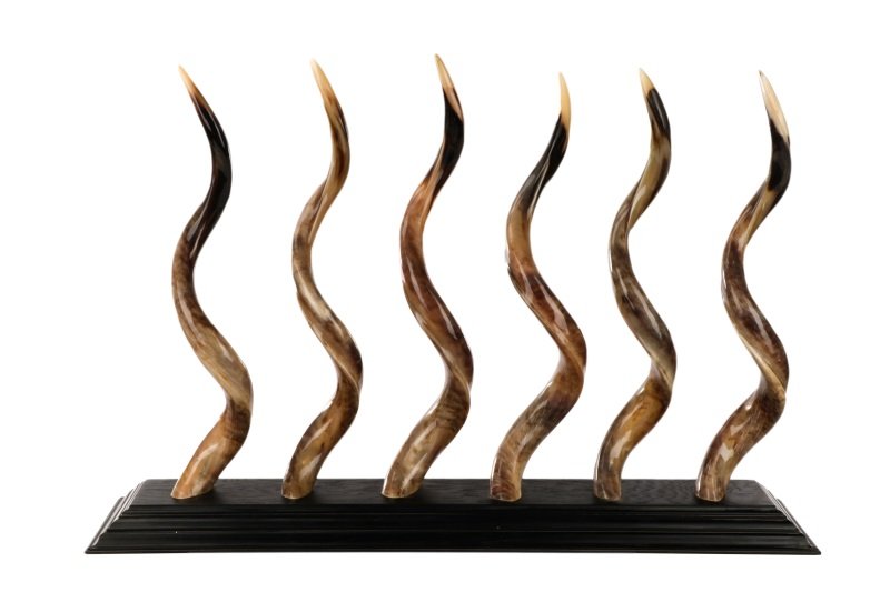 Tabletop Sculpture with Six Polished Kudu Horns (1 of 7)