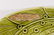 Group Of 2 Art Nouveau Slovakian Majolica Plates - 10