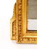 Louis XVI Style Giltwood Mirror, 19th C. - 4