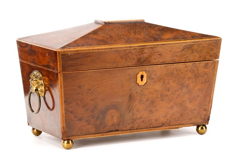 English Regency Burled Wood Tea Caddy (1 of 10)