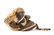 African Carved Beaded & Shell Accented Helmet Mask - 4