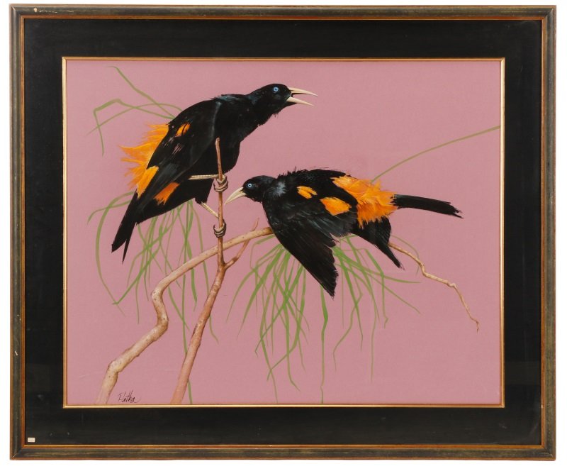 Paul Pletka, "Yellow-Rumped Cacique", Mixed Media (1 of 7)
