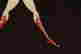 item-48198360=5