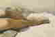 item-48198374=4
