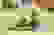 item-48198508=3