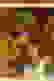 item-48198508=6