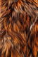 Roberto Cavalli Pieced and Dyed Fox Fur Coat - 3