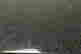 item-50061460=4