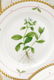 8 Pcs Flora Danica Porcelain, Royal Copenhagen - 3