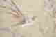 item-51777421=4