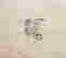 item-51777421=5