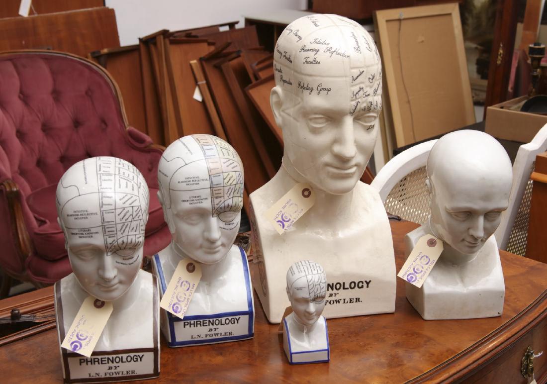 (5) Fowler style ceramic Phrenology heads (1 of 9)