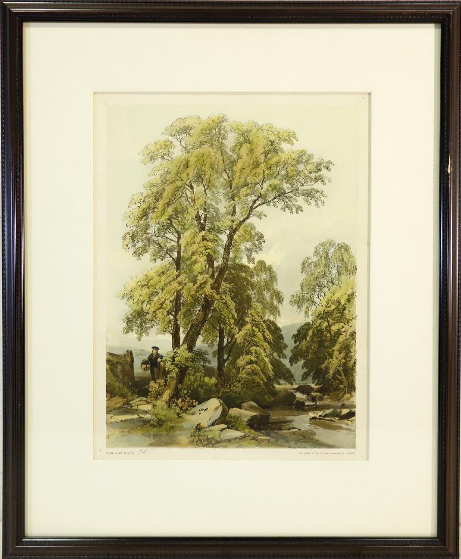 James Duffield Harding, arboreal color lithograph (1 of 6)