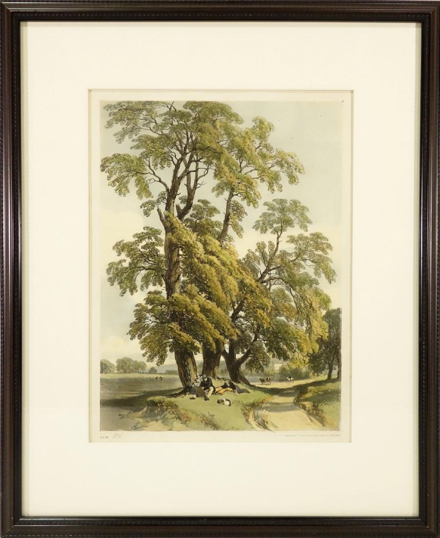 James Duffield Harding, arboreal color lithograph (1 of 5)