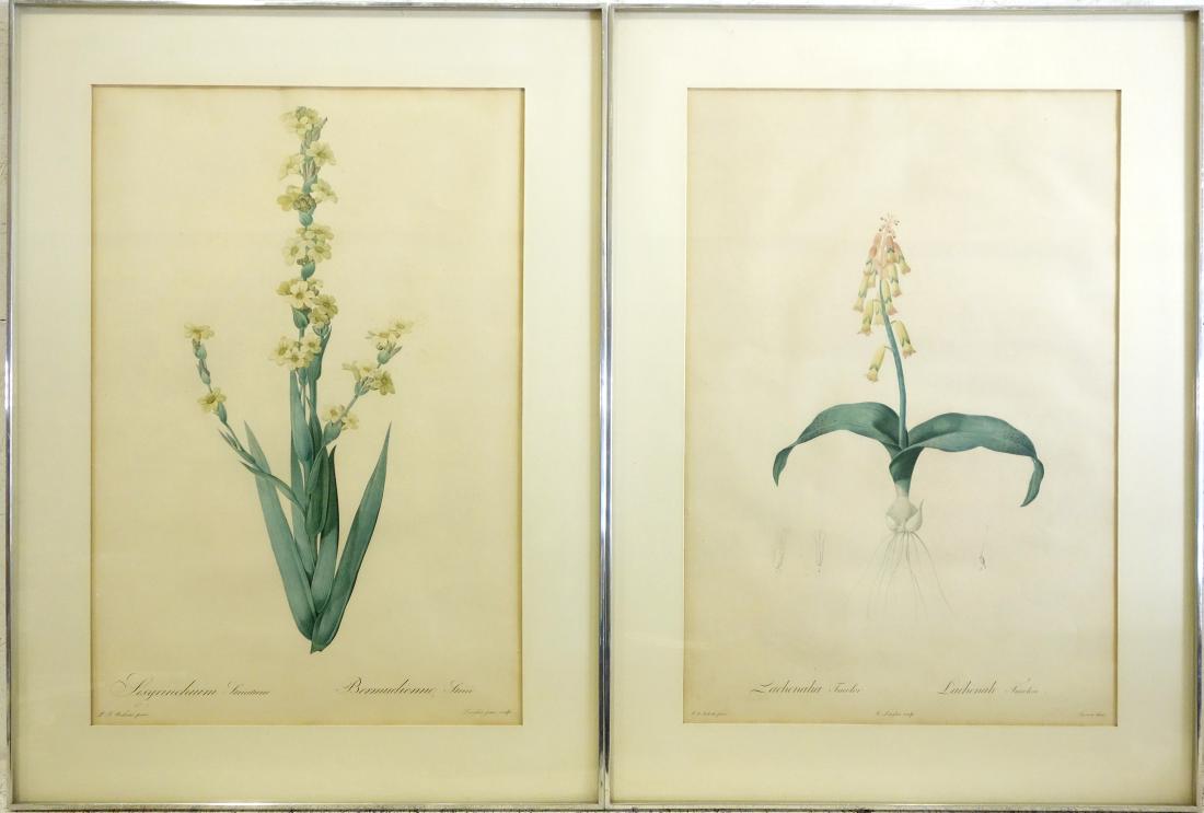 C. Langlois, (2) botanical color lithographs (1 of 10)
