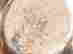 item-54543537=6