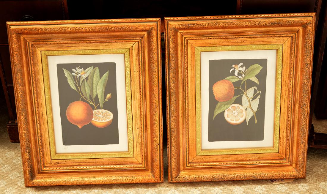 JohnRichard, pair botanical fruit prints