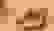 item-56307117=2