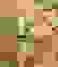 item-56307247=5