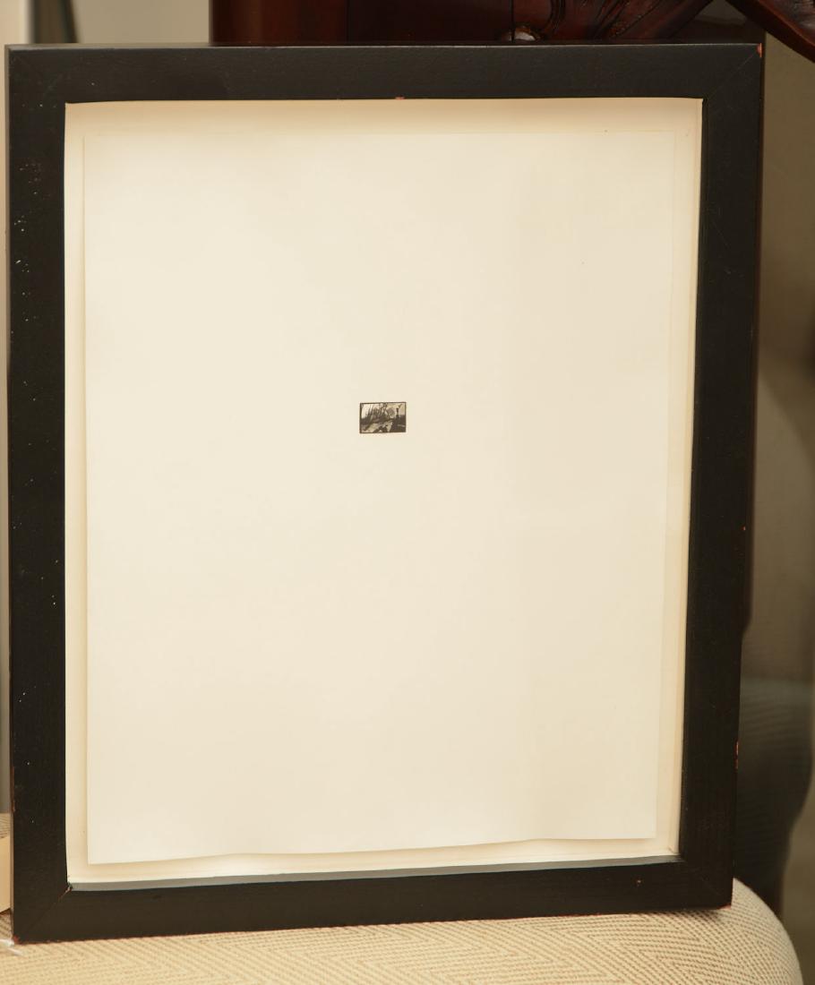 Unidentified artist, world's tiniest photograph (1 of 3)