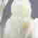 item-57760725=3