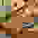 item-57761050=6