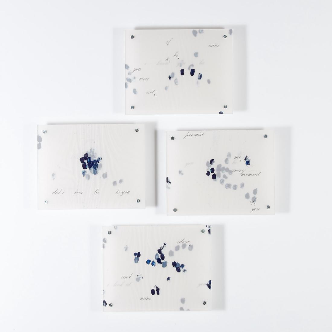 Collier Schorr, mixed media (1 of 9)