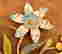 item-60161352=5