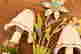 item-60161352=6