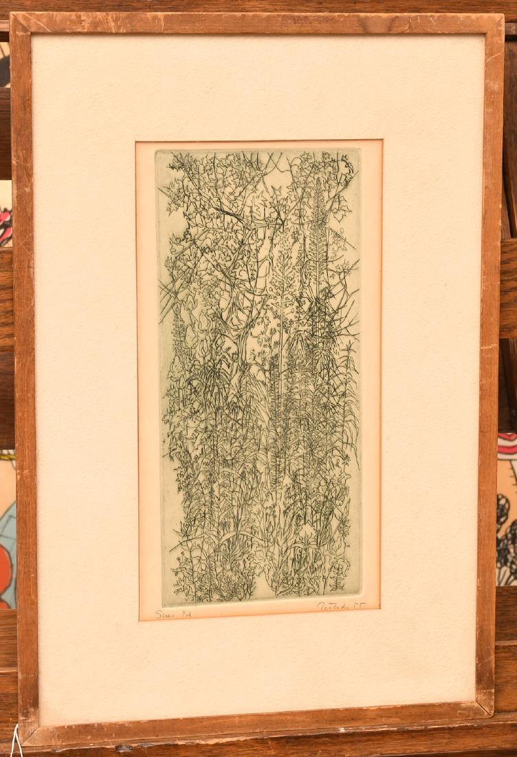 Gabor Peterdi, etching (1 of 9)