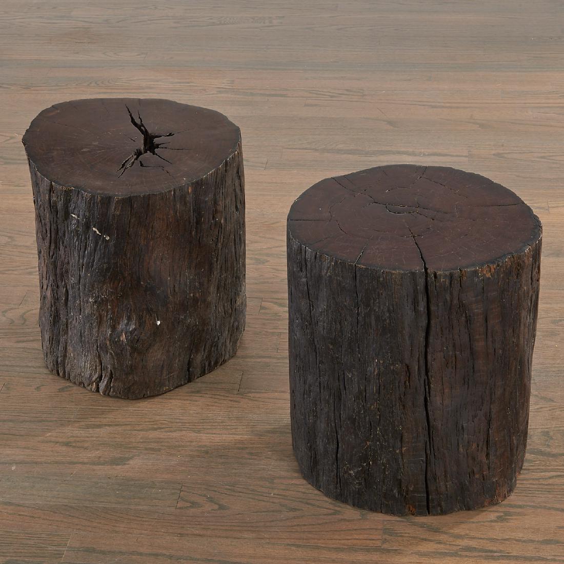 Pair Lignum Vitae trunk tables/stools (1 of 7)