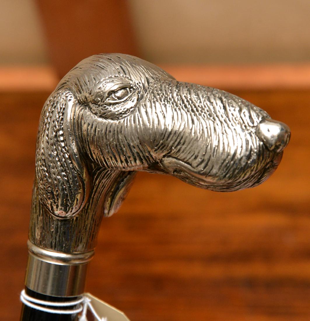 Walking stick with silver plated dog head handle (1 of 5)