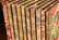 BOOKS: (10) Vols Japan 1897 Millet Yedo Edition - 2