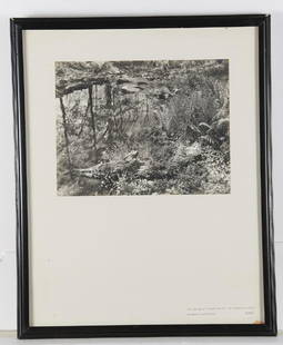 Gottscho - Schleisner, photograph: Gottscho - Schleisner, photograph, Samuel Gottscho (American, 1875-1971) and William Schleisner (American, 1912-1962), "The Brook at Trail Wood, An Intimate Study", black & white photograph, labeled w