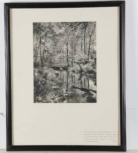 Gottscho - Schleisner, photograph: Gottscho - Schleisner, photograph, Samuel Gottscho (American, 1875-1971) and William Schleisner (American, 1912-1962), "The quintessence of spring…", black & white photograph, labeled with title