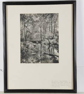 Gottscho - Schleisner, photograph: Gottscho - Schleisner, photograph, Samuel Gottscho (American, 1875-1971) and William Schleisner (American, 1912-1962), "The quintessence of springâ€¦", black & white photograph, labeled with title