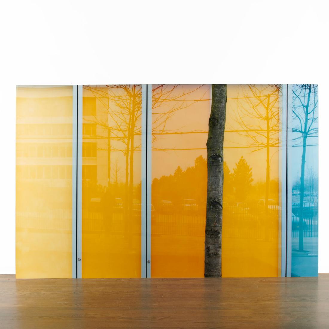 Ola Kolehmainen, large format photograph (1 of 5)