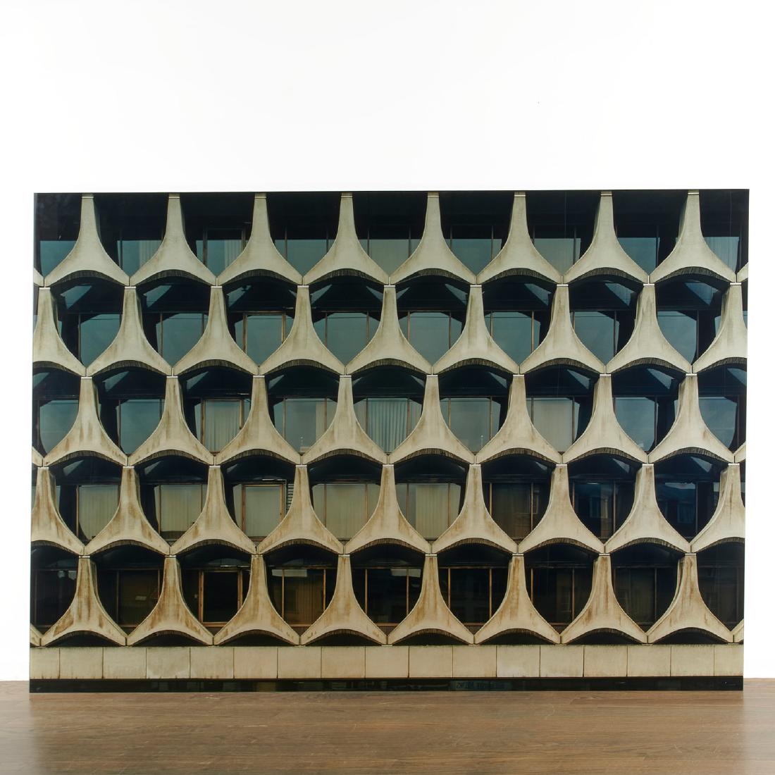 Ola Kolehmainen, large format photograph (1 of 7)