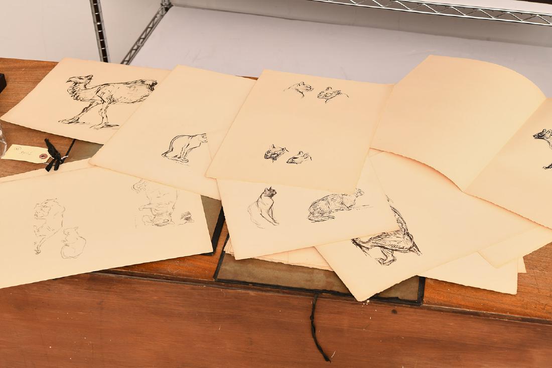 Theophile Steinlen, collection (45) animal prints (1 of 6)