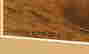 item-65262852=4