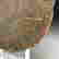 item-66008363=3