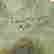item-66008363=6