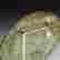 item-66008363=7