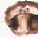 item-66008371=2