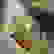 item-71244585=6