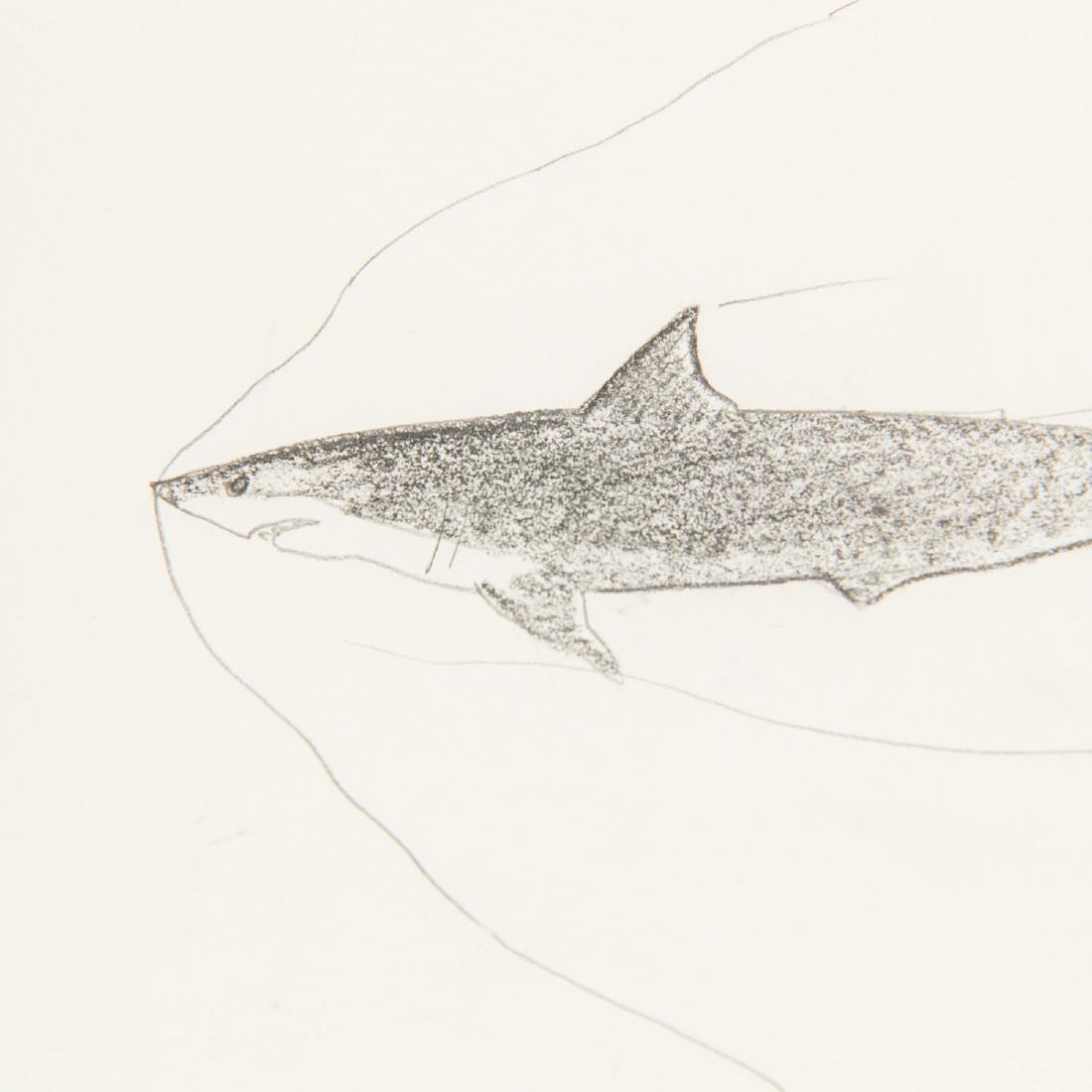 William Wegman, drawing, c. 1973 (1 of 7)