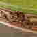 item-71245312=3